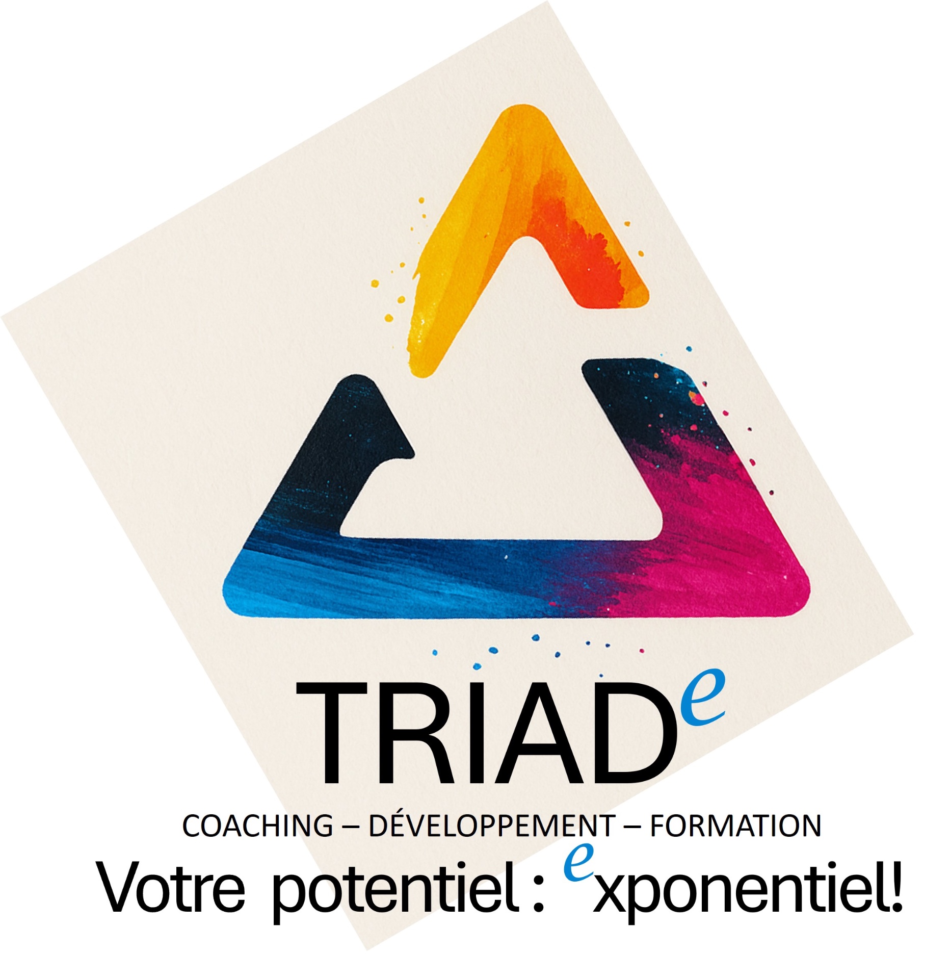 Logo TRIADe Coaching