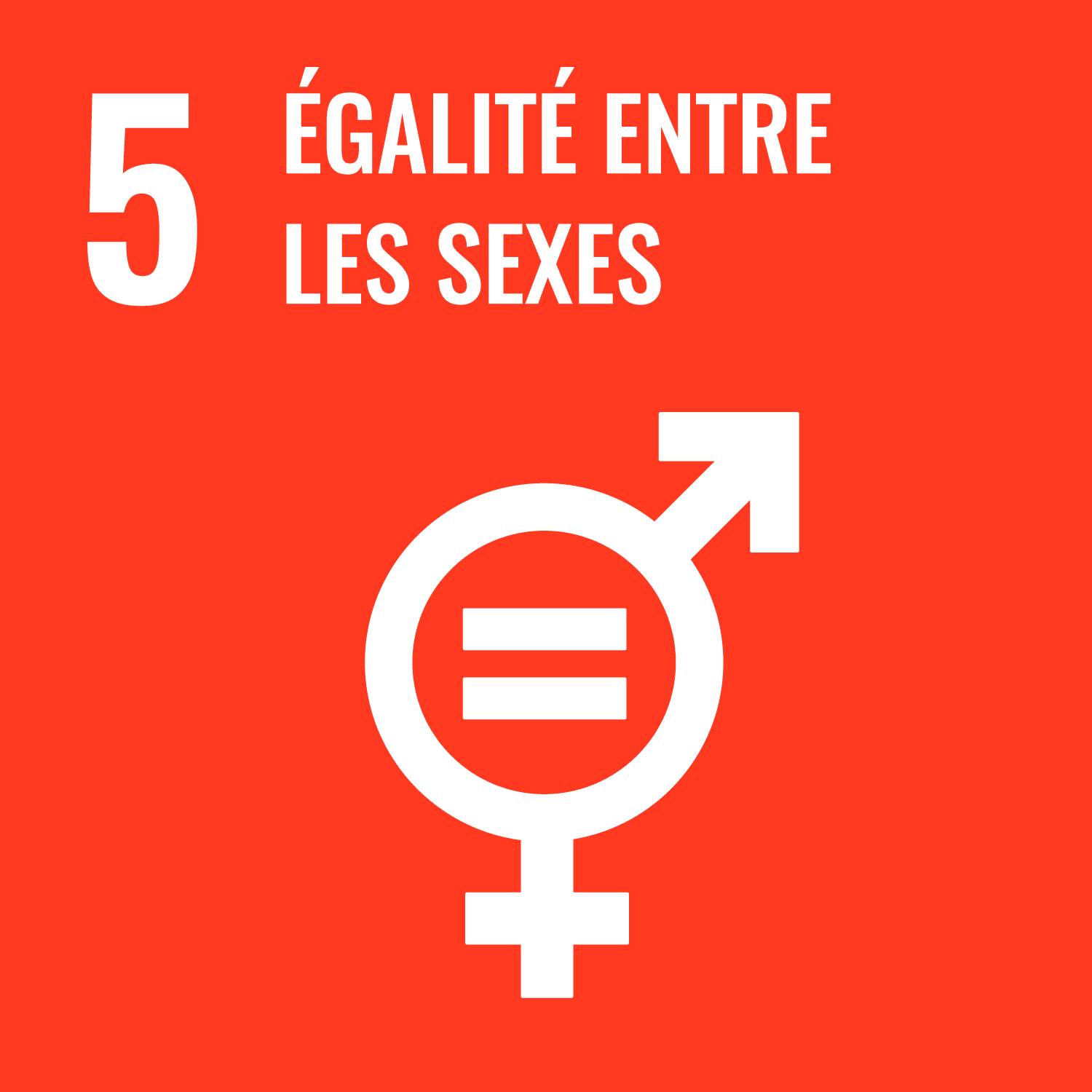 ODD 5 - Égalité entre les sexes